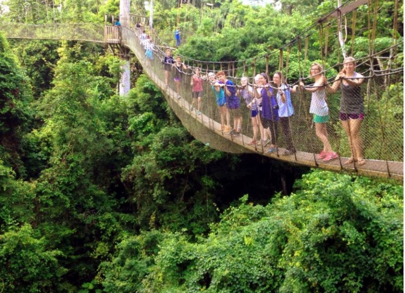 Exploring Ghana’s National Parks: A Safari Adventure into Nature’s Wonders