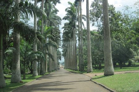 Aburi Botanical Gardens Trip
